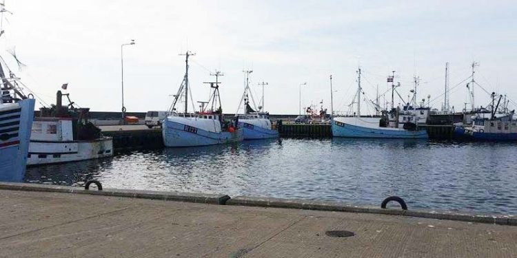 Bornholmske torskepriser rammer bunden  Foto: ca. godt 20 fiskefartøjer valgte tisdag at blive ved kajen pga. dårlige afregningspriser - CSH