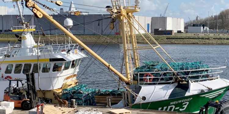 Hollandsk bomtrawler rigger om til krabbetejner. foto: visserij Nieuws