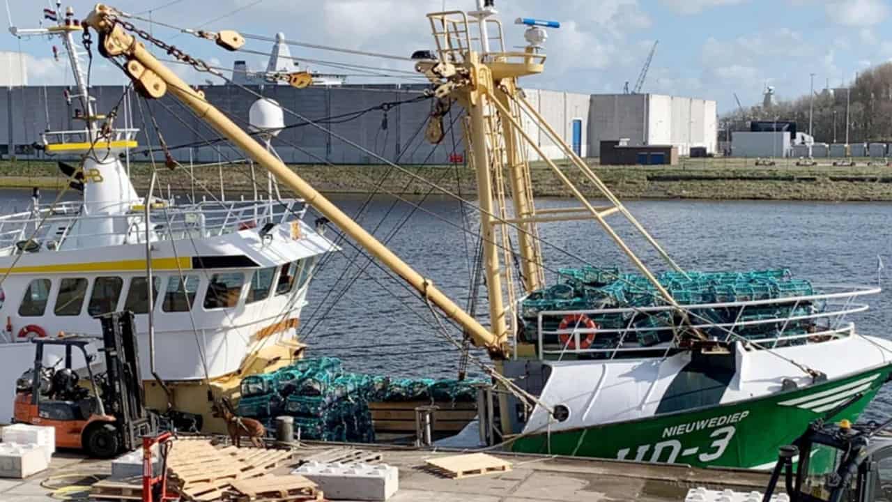 Read more about the article Hollandsk bomtrawler rigger om til krabbetejner