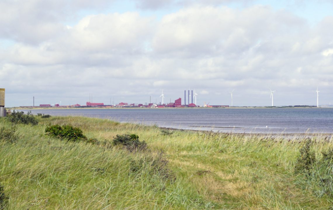 Kemiske udledninger skader biodiversitet og vandmiljøet i Limfjorden foto: wikip