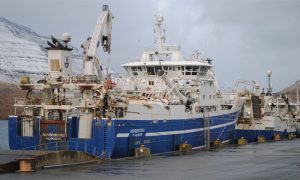 Færinger fiskede 586.000 tons i 2016  Arkivfoto: Nordborg - EJ FiskerForum