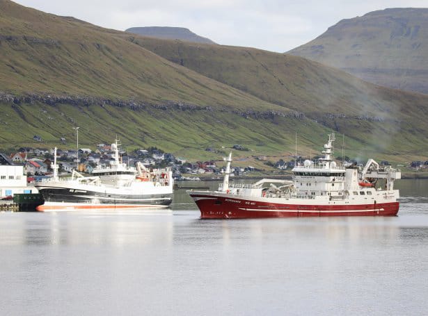 Read more about the article Færøerne: flere og større landinger af makrel til fiskefabrikkerne