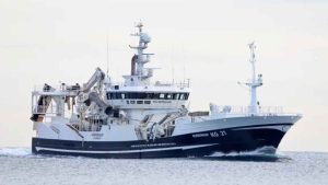 Trawleren **Norðingur** landede i ugen en last på 1.700 tons blåhvilling til Havsbrún foto: Kiran J