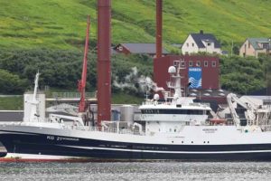 Fiskeriet af blåhvilling formår stadig at levere solide resultater – den lille proteinrige industrifisk, som udgør en vigtig ressource for fiskemels-industrien, holder gang i industrimøllerne. foto: Kiran J