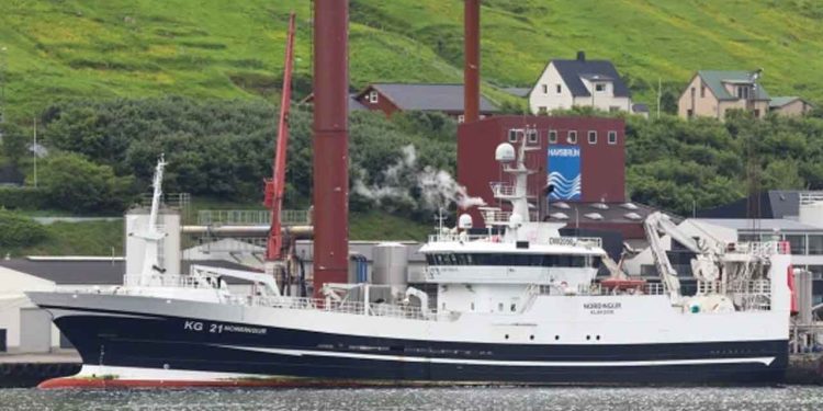 Fiskeriet af blåhvilling formår stadig at levere solide resultater – den lille proteinrige industrifisk, som udgør en vigtig ressource for fiskemels-industrien, holder gang i industrimøllerne. foto: Kiran J