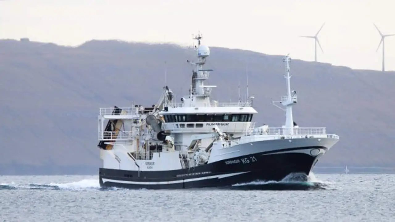Read more about the article Færøerne: Der industri-fiskes efter blåhvilling og sild