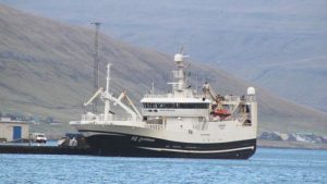 Trawleren Norðingur landede en last på 1.150 tons blåhvilling til havsbrún, som de på tilsvarende vis har fisket ud for Færøerne.  foto: Kiran J 