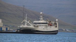 I Fuglefjord landede trawleren Norðingur i sidste uge en last på 1.900 tons blåhvilling til Havsbrún, foto: Kiran J