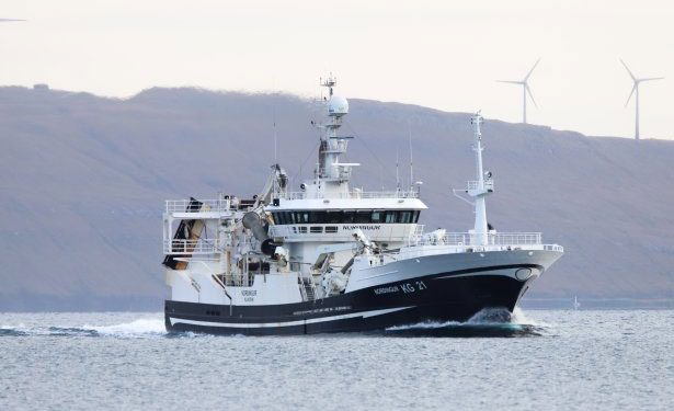 Den færøske trawler **Norðingur** landede 2.400 tons blåhvilling foto Kiran J 