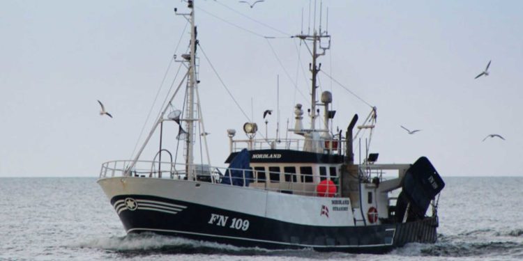 Fleksibiliteten har været væsentlig, da beslutningen om køb af anden båd blev taget. I et omskifteligt og uforudsigeligt fiskeri-politisk miljø, har fornuften rådet for den 53 årige fiskeskipper og formand for Bornholms Fiskeriforening Thomas Thomsen, da han tirsdag den 5. marts først solgte sin kære R 194 »Andrea« og siden købt FN 109 «Nordland« til overtagelse tirsdag den 26. marts i år. Den nyindkøbte trawler ligger nu i Strandby og venter kun på det obligatoriske forsikrings-syn, inden kurs og fart kan sættes fiskeriet. Det var da også her på havnen i Strandby, at FiskerForum.dk, fangede skipperen fra Bornholm, til en snak om fiskeriet og det nyerhvervede fiskefartøj især. Det er ingen hemmelighed, at fiskeriet omkring Bornholm de senere år er udfordret på mange plan og på den baggrund er man som fisker også nødt til at vende alle muligheder for fremtiden fortæller Thomas Thomsen. Både med fokus på de interne og eksterne forhold der præger fiskeriet, men også en evaluering af sig selv og sine muligheder samt afdække egne styrker og svagheder i erhvervet. En simpel nødvendighed, så de rigtige beslutninger kan tages på et så fornuftigt grundlag som muligt. Et grundigt forarbejde, der på bedst mulige måde kan sikre én mod udefrakommende fare. Der sammen med en jævn strøm af bureaukratiske regler og forordninger, hurtigt kan true et ellers fornuftige fiskeri. Fiskeskipperen fra Neksø har handlet trawler med partsrederiet Tina Jeanette, og han gennemgår i disse dage forholdene ombord med sælger, samtidig med de vigtige kommunikationsforbindelser ombord får et ekstra og et moderne samt professionelt telekommunikations-løft. En forbindelse, så den aktive foreningsformand altid og til hver en tid, kan nås når fiskeriet som nu foregår langt fra den grønne ø i Østersøen. »Det skal stadig være let at komme i kontakt med mig, selvom fiskeriet som nu er henlagt til andre farvande, end de kendte omkring Bornholm. Sådan er betingelserne desværre i dag,« fortæller Thomas Thomsen til FiskerForum, og han lægger da heller ikke skjul på, at han egentlig heller ville fiske lokalt end som nu tage turen fra Øst mod Vest og fiske i enten Nordsøen, Skagerrak eller Kattegat. Det er langt hjemmefra familie og venner samt de daglige gøremål i Neksø. Med salget af R 194 »Andrea« afhænder Thomas Thomsen dermed sin trawler på omkring 16 meter (bliver til RS 194 »Stisholm« på Anholt med Morten og Henrik som nye ejere) og bytter den ud med en større på knapt 23 meter. Mere plads og dermed større kapacitet er blevet en nødvendighed, når målet er flere havdage og længere tid på havet. Et større skib som Nordland, har også givet bedre komfort og sikkerhed for besætningen ombord og med en større aktionsradius gør det samtidig også fiskeriet mere rentabelt. Aldersmæssigt er de to fartøjer stort lige gamle. Lille »Andrea« blev i sin tid bygget på Strandby Værft (Jobi Værft i Strandby i dag) og Nordland (kommende store »Andrea«) er tegnet og bygget af det gamle johs. Kristensens Skibsværft i Hvide Sande. Fleksibiliteten er i højsædet Fiskeriet ændre sig og derfor har Thomas Thomsen også været både fremsynet og forudseende, i valget af sin nyindkøbte trawler. En trawler der primært og i første omgang pt skal fiske tobis på rations-vilkår, når store »Andrea« sætter kurs og fart til fiskefelterne et sted i de danske farvande. Et fartøj der også hurtigt kan rigges om til jomfruhummer, konsumfiskeri eller industrifiskeri. En nødvendig helgardering, når alle havdagene skal fyldes ud. Hvor præcist det første fiskeri skal begynde, er igen et tegn på den bornholmske fiskers omstillings-parathed, for det afgøres først, når der er udsigt til og sikre tegn på et rentabelt og fornuftigt fiskeri, ikke før. Tiden er ikke til længerevarende fiskeri på må og få, der skal gerne være fangst fra første slæb, så økonomien ikke kommer bagefter. Hvor lasten af fisken skal landes, afgøres også senere i forløbet end tidligere, så bedste auktionspris også her bliver afgørende for hvor fisken landes. Det er nye tider i fiskeriet og med Thomas Thomsens investering af ny og større trawler, skulle fremtiden være sikret de næste mange år og når tiden endelig nærmer sig mht. generationsskifte og salg af trawler, er udgangspunktet med store »Andrea« ikke det allerværste man kan stå med som fuldbefaren fisker. Der er dog endnu mange år tilbage i det aktive fiskerliv for Thomas Thomsen, der glæder sig til at få foden på det nye dæk og igen mærke bølgerne under fiskeriet. FiskerForum ønsker fiskeskipper, båd samt besætning god vind fremover og alt godt for fremtiden. FiskerForum.dk