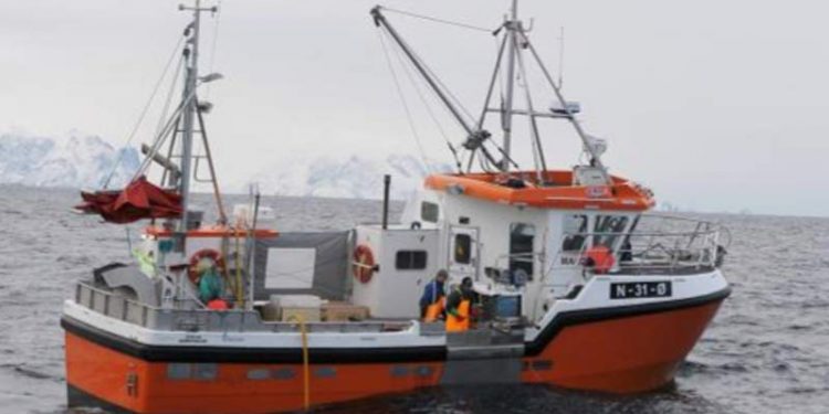 Norge: Fiskeriet skaber masser af jobs på land