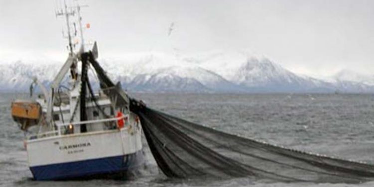 Norsk rekordvækst i fiskeriet fortsatte i august måned.  arkivfoto: Norsk Fiskeri - KiB