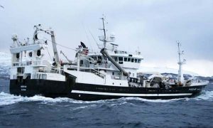 Der er fuld fart over loddefiskeriet ved Island  Arkivfoto: Fra tidligere fiskeri af lodde ved Island - KiB
