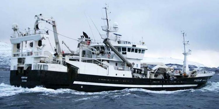 Der er fuld fart over loddefiskeriet ved Island  Arkivfoto: Fra tidligere fiskeri af lodde ved Island - KiB