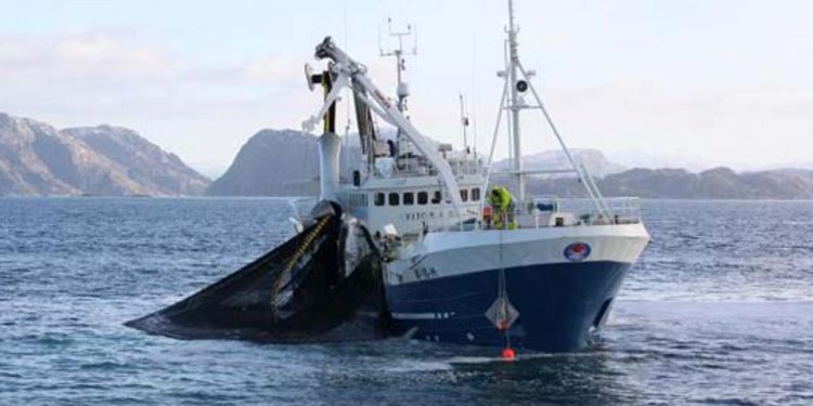 Norsk fiskeri efter makrel