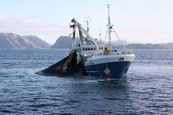 Read more about the article Norsk fiske og skaldyrs-eksport fortsætter himmelflugten