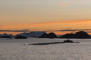 Norge: Et flertal tror mere på fiskeri end på olie. Arkivfoto: norsk havbrug - FiskerForum