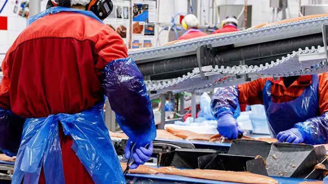 Read more about the article Eksport af norsk fisk og skaldyr falder