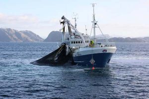Norsk fiskeri fritages for omkostningsforøgende Co2 afgift  Arkivfoto: Norsk fiskerii