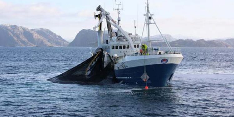 Norsk fiskeri fritages for omkostningsforøgende Co2 afgift  Arkivfoto: Norsk fiskerii