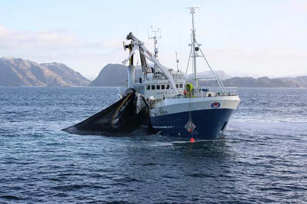 Read more about the article Norsk fiskeri fritages for omkostningsforøgende Co2 afgift