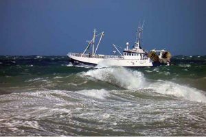 Svensk-dansk ord-duel om rejerne i Skagerrak.  Foto: S255 NorthSea  Fotograf: PmrA