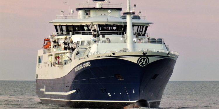 Laksebåden »Norwegian Gannet« overvejer taktisk skifte i leveringerne