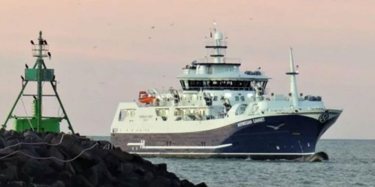 Norwegian Gannet anløber Hirtshals Havn med laks fra Norge. Foto (arkiv): Preben Andersen.