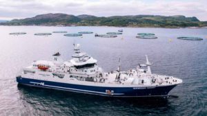Den banebrydende slagtebåd »Norwegian Gannet« sættes ud af drift – selskabet Hav Line afvikler sine norske aktiviteter og overvejer at sælge fartøjet. foto: hav Line