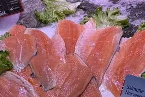 rods lavere kvoter, geopolitisk uro og faldende laksepriser leverede Norge et historisk eksportår – svarende til 38 millioner måltider hver dag, året rundt. foto: Norwegian Seafood Council