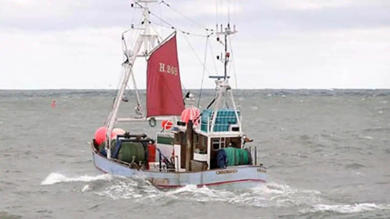 Read more about the article Snurrevodskutter i beskyttet kystfiskerordning fisker torsk fra bifangstkvote