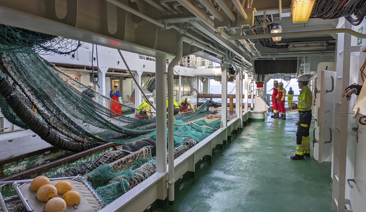 Read more about the article IBTS-togtet i Nordsøen 2025: Ny forskning og overvågning af fisk og miljø