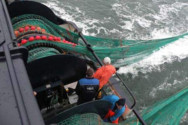 Read more about the article MSC på trawl-rødspætter i Nordsøen
