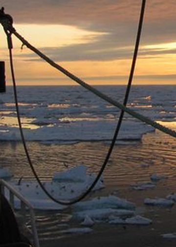 EU-Grønland-aftale skuffer fælt på mere end én måde foto: Ocean Prawns