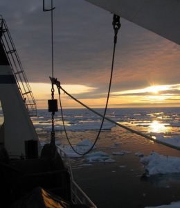 Rejekoncern i Nexø leverer solidt resultat trods Corona. foto: Ocean Prawns AS