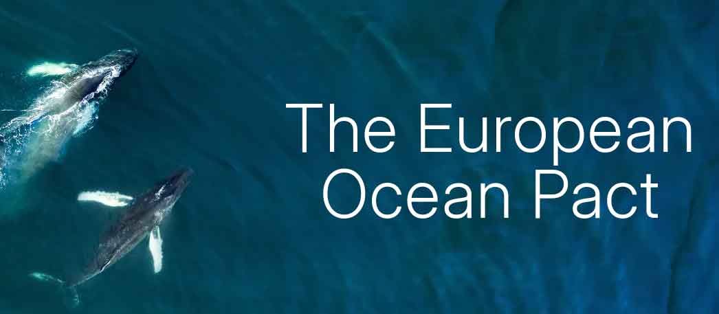 Read more about the article EU’s Ocean Pact virker som et stille opgør med fiskeriet