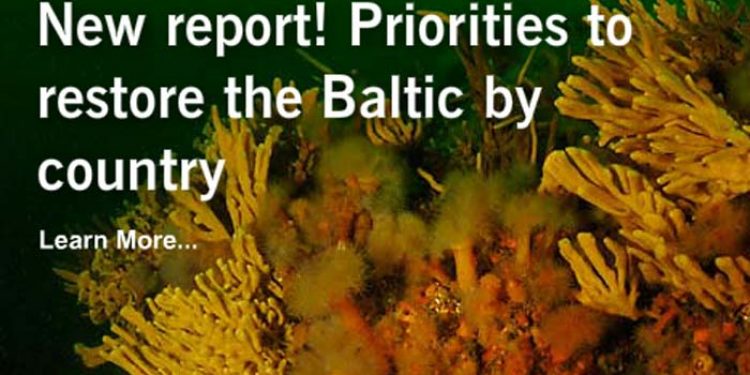 Miljøministre udskyder genopretningen af Østersøen.  Foto: Oceana