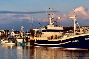 Svenske fiskere står nu over for samme udfordringer, som danske fiskere længe har kæmpet imod - nemlig planer om at placere flere store havvindmølleparker midt i nogle af de mest værdifulde fiskeområder. På Sveriges vestkyst truer projektet Västvind-vindmølleparken fiskeriet omkring ø-samfundet Öckerö, og havvindmølleprojektet Poseidon udfor Stenungsund, truer nu også fiskeriet her, der er helt afhængigt af kommercielt fiskeri. foto: SFPO