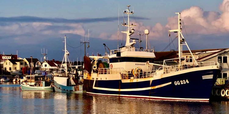 Svenske fiskere står nu over for samme udfordringer, som danske fiskere længe har kæmpet imod - nemlig planer om at placere flere store havvindmølleparker midt i nogle af de mest værdifulde fiskeområder. På Sveriges vestkyst truer projektet Västvind-vindmølleparken fiskeriet omkring ø-samfundet Öckerö, og havvindmølleprojektet Poseidon udfor Stenungsund, truer nu også fiskeriet her, der er helt afhængigt af kommercielt fiskeri. foto: SFPO