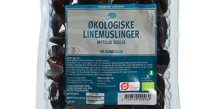 Økologiske Line-muslinger fra Limfjorden er en succes  Foto: Økologiske line-muslinger fra Vilsund Blue