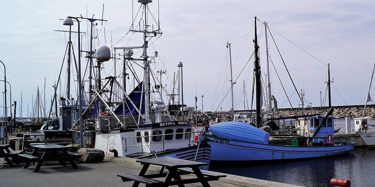 En stejl fiskeriminister kan koste de nordjyske havne en større økonomisk deroute - Østerby Havn