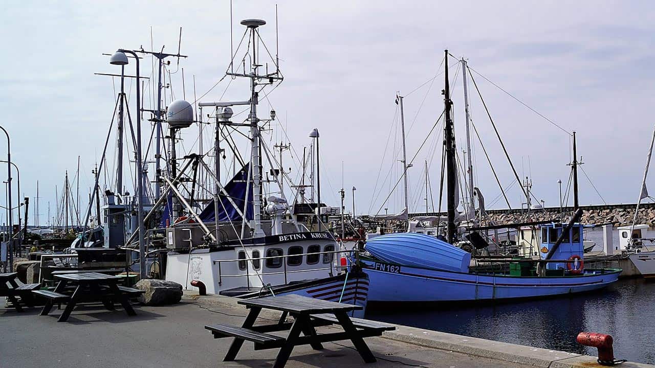 Read more about the article En stejl fiskeriminister kan betyde økonomisk deroute for nordjyske havne