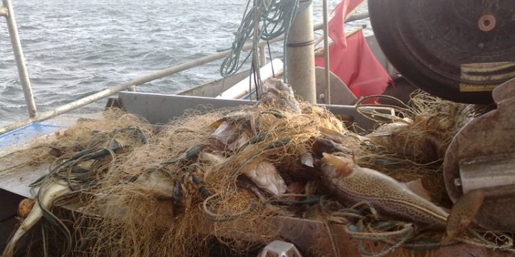 Forslag til ændring af fiskeriloven i høring  - arkivfoto: Stemningsbillede af fiskeri i Østersøen - Frederik Jensen