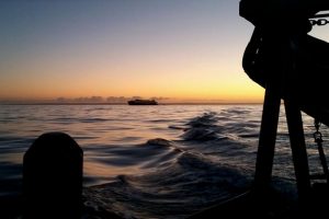 Fiskeriministeren er tilfreds med Østersø-TAC´en, mens fiskerne både er stærkt utilfredse og meget skuffede.