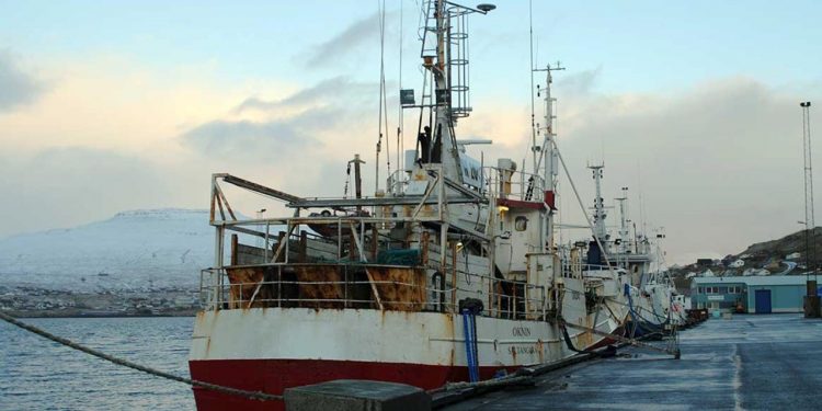 garnbåden Oknin landede hellefisk i Toftir