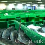 Fiskeauktion øger omsætningen med 60 millioner.  foto: Online fiskeauktion i Hanstholm