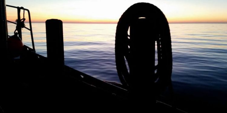 Torskefiskerne i Østersøen får nu Kompensation  Foto: Østersøen - CSH