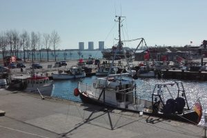 Tyske fiskere støttes med 12 mio Euro pga de barske kvoteændringer for 2020 i Østersøen