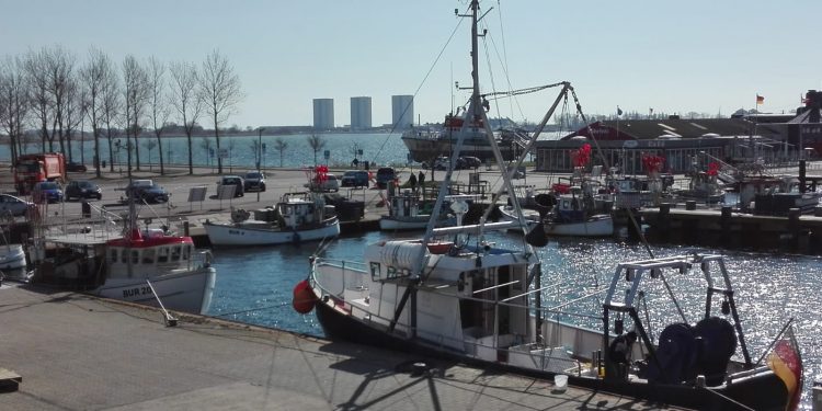 Tyske fiskere støttes med 12 mio Euro pga de barske kvoteændringer for 2020 i Østersøen
