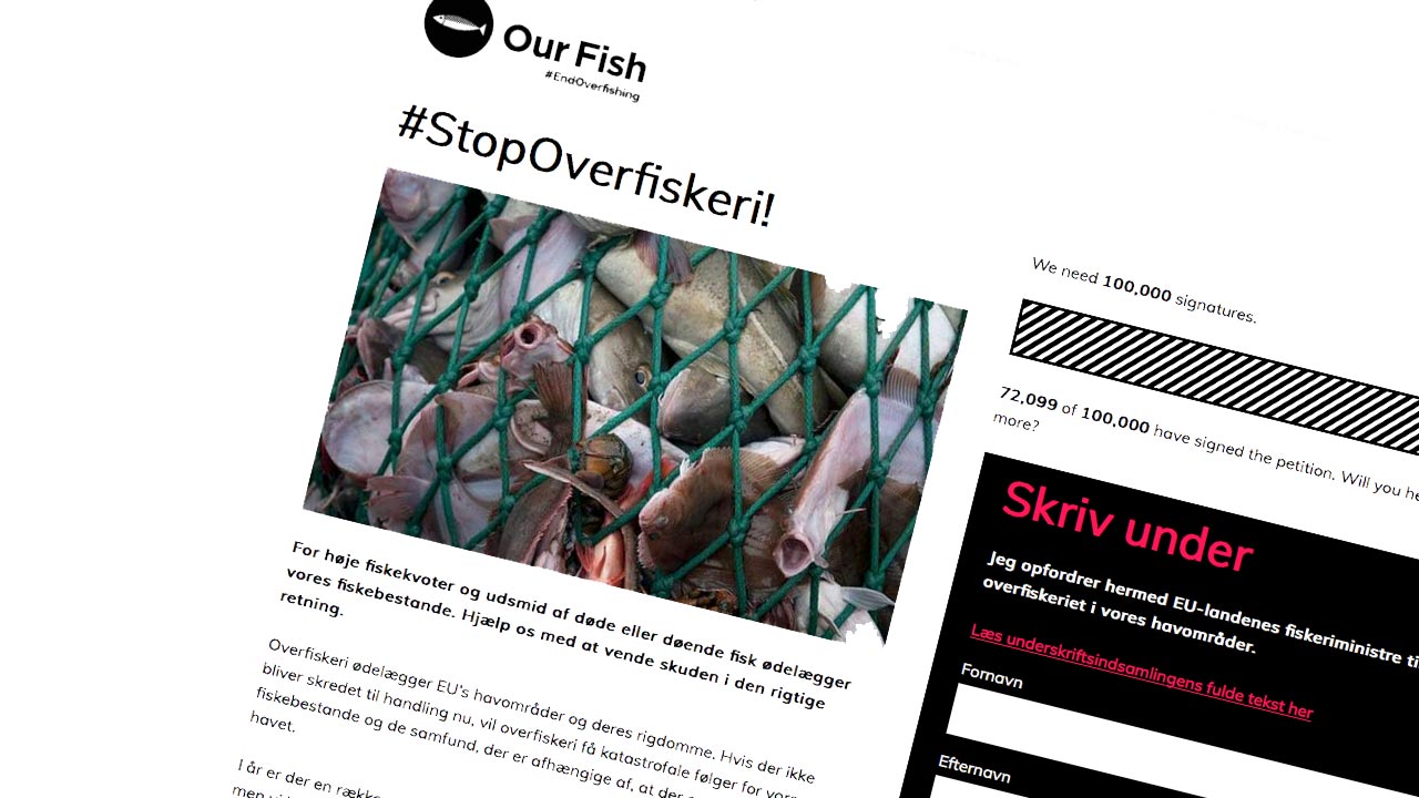 Read more about the article Fanden hytter sine, men »Our Fish« hytter mest sig selv